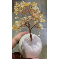 Money Tree (about 4.5 inch in height) - Citrine Tree w White pod like base