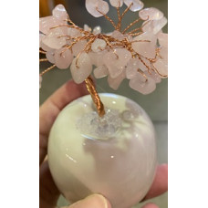 Money Tree (about 4.5 inch in height) - Rose Quartz Tree w White pod like base