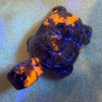 Turtle 1.5 Inch Figurine - Yooperlite Turtle 1.5 Inch Figurine - Yooperlite