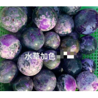 Gemstone Sphere - Moss Agate w Purple Color (About 3 inch)