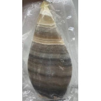 Flame - Large Teardrop Shape - Calcite Mexico (about 5 inches H) - 2 pcs pack 