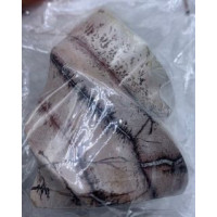 Flame - Large Torch Shape - Picture Jasper (about 3 inches H) - 3 pcs pack