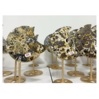 Moon Gemstone Large Half Moon (About 2.25 x 4.25 inches) - Ocean Jasper w display Stand Moon Gemstone Large Half Moon (About 2.25 x 4.25 inches) - Ocean Jasper w display Stand