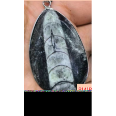 GPK - Orthoceras Fossil Pendant (About 1.75 inches) - 10 pcs Pack