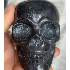 Extra Large Carving - Skull - Shungite - (about 3 inches in Height)