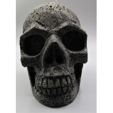 Extra Large Carving - Skull (5 x 3.5 x 4.5H inches) - Volcanic Rock