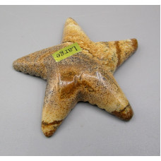 Starfish 2.25 Inch Figurine - Picture Jasper