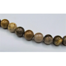 16 Inch 10 mm Petrified Wood Bead Strand