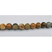 16 Inch 8 mm Petrified Wood Bead Strand