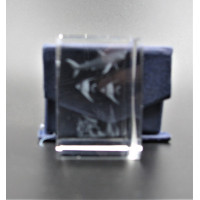 Crystal imitation Quartz Rectangle w Shark  (3 x 3 x 4 cm)