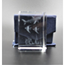 Crystal imitation Quartz Rectangle w Shark  (3 x 3 x 4 cm)