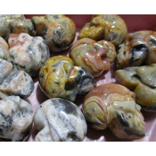 Skull 1 Inch Figurine - Crazy Lace Agate - 24 pcs pack