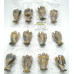 Angel 50mm Figurine - Tiger Eye 12 pcs bulk pack