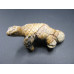 Lizard Climbing 2.25 Inch Figurine - Picture Jasper