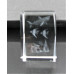 Crystal imitation Quartz Rectangle w Shark  (3 x 3 x 4 cm)