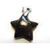 GP Star Pendant with Bail - Tiger Eye