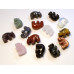 Hippo Classic Carved Fetish Bead 0.75 Inch - Assorted Stones