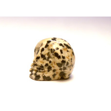 Skull 1 Inch Figurine - Dalmatian Dacite