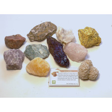 Mineral Collection Box of 12 Pieces - Variety Assortment