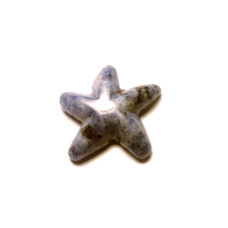 Starfish 1 Inch Figurine - Sodalite