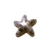 Starfish 1 Inch Figurine - Sodalite