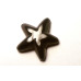 Starfish Carved Fetish Bead 0.75 Inch - Obsidian Black