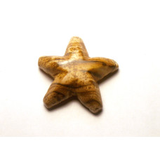 Starfish Carved Fetish Bead 0.75 Inch - Picture Jasper