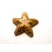 Starfish Carved Fetish Bead 0.75 Inch - Picture Jasper