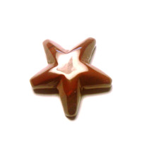 Starfish Carved Fetish Bead 0.75 Inch - Rainbow Jasper