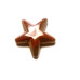 Starfish Carved Fetish Bead 0.75 Inch - Rainbow Jasper