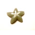 Starfish Carved Fetish Bead 0.75 Inch - Aventurine