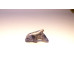 Dolphin Classic 1 Inch Figurine - Sodalite