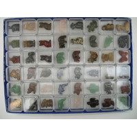 1 Inch Figurine Collection 1 Animal World - Assorted 48 piece pack